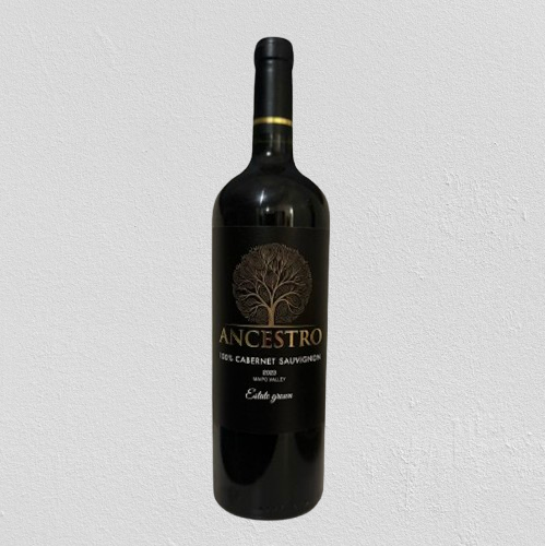 Ancestro 100% Cabernet Sauvignon America 2023 12/750